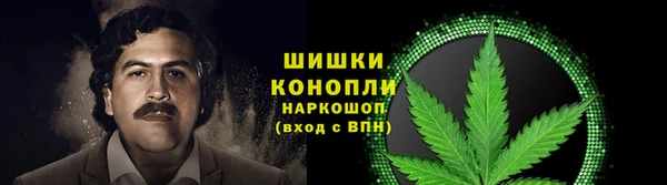 мескалин Гусев