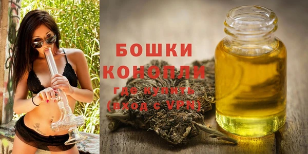 прущий лед Гусиноозёрск