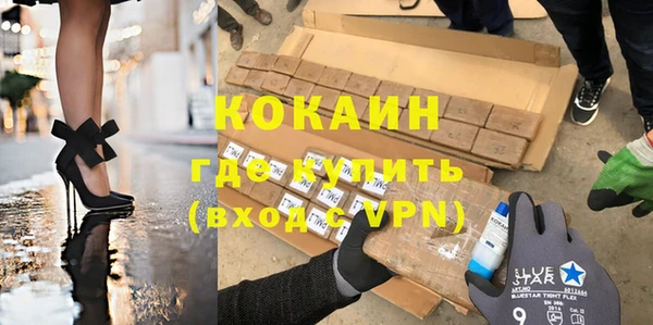 индика Дмитриев