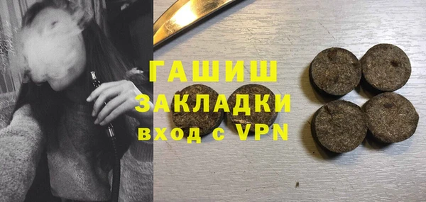 индика Дмитриев