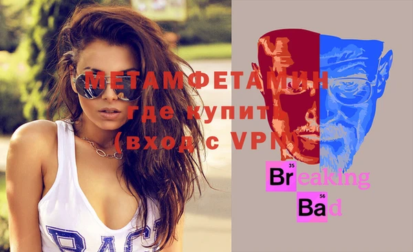 индика Дмитриев