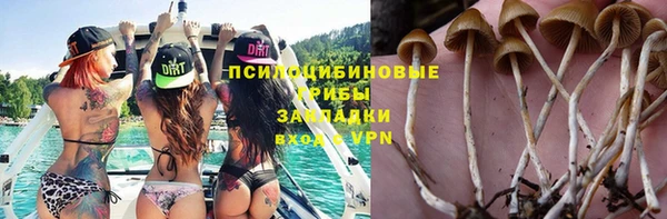 мескалин Гусев
