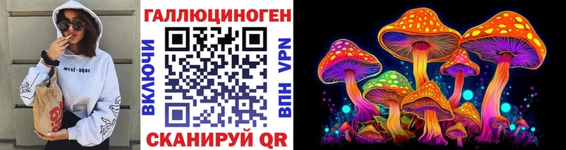 Галлюциногенные грибы Psilocybe Купить где Котельнич
