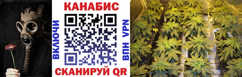 Купить где  Котельнич  Канабис индика 